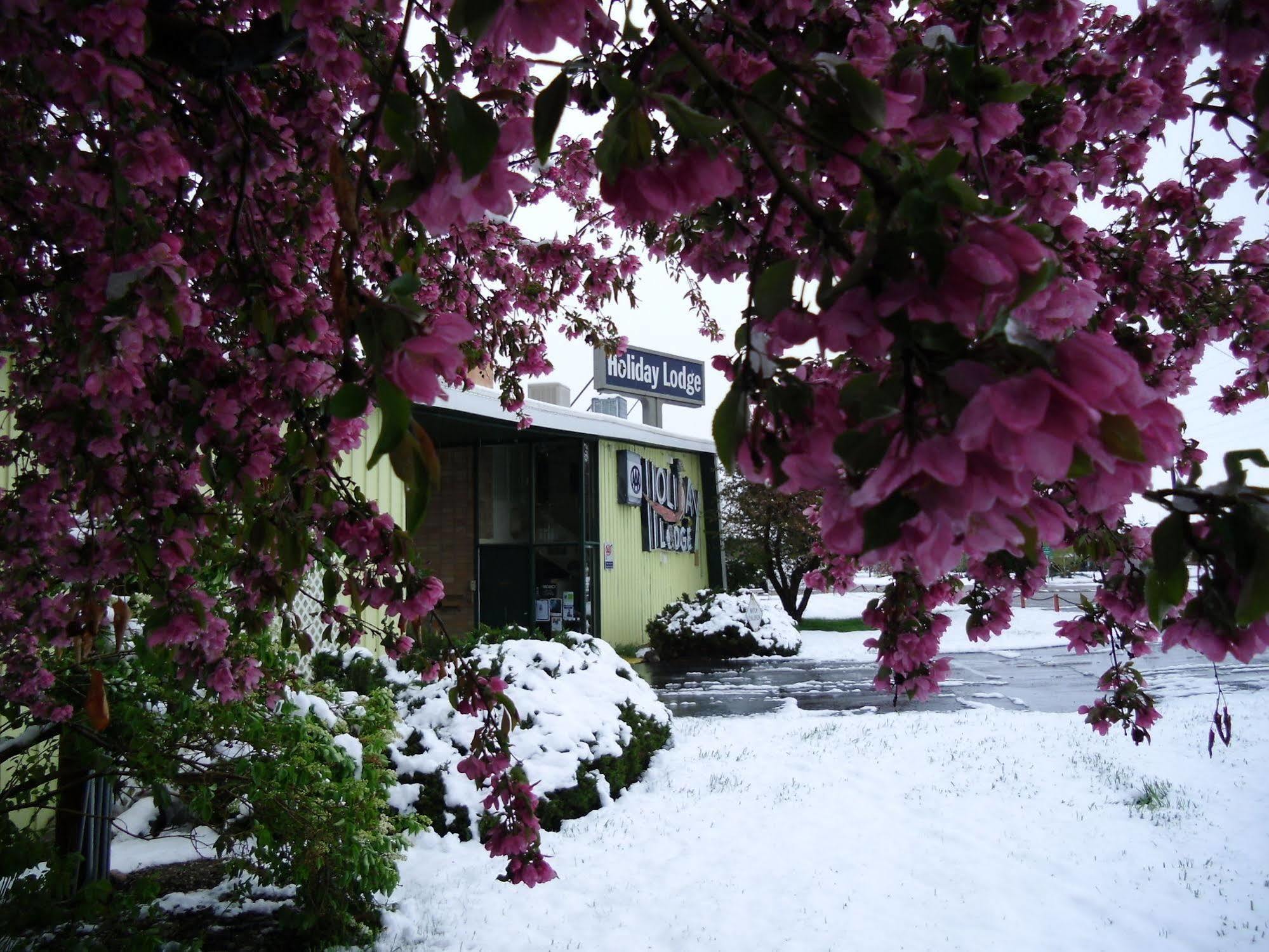 Holiday Lodge Motel Lander Exterior photo